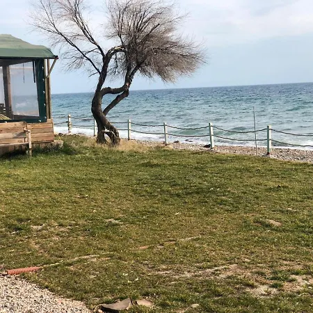 Concept Bungalow Кемпинг Чанаккале