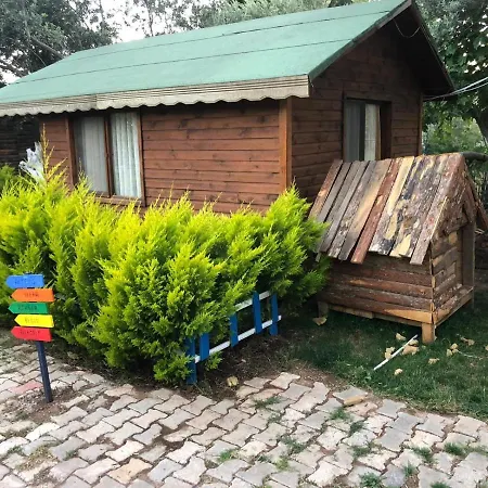 Concept Bungalow Кемпинг