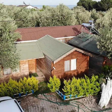 Кемпинг Concept Bungalow