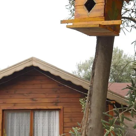 Кемпинг Concept Bungalow
