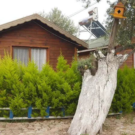 Concept Bungalow Кемпинг Чанаккале